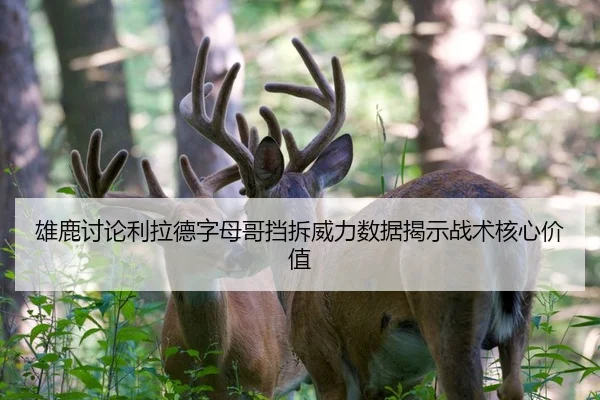 雄鹿讨论利拉德字母哥挡拆威力数据揭示战术核心价值